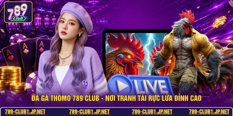 Đá Gà Thomo 789 Club - Nơi Tranh Tài Rực Lửa Đỉnh Cao