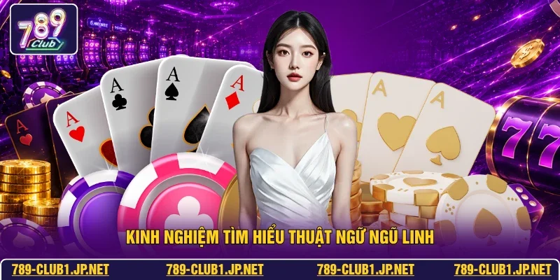 Kinh nghiệm tìm hiểu thuật ngữ ngũ linh