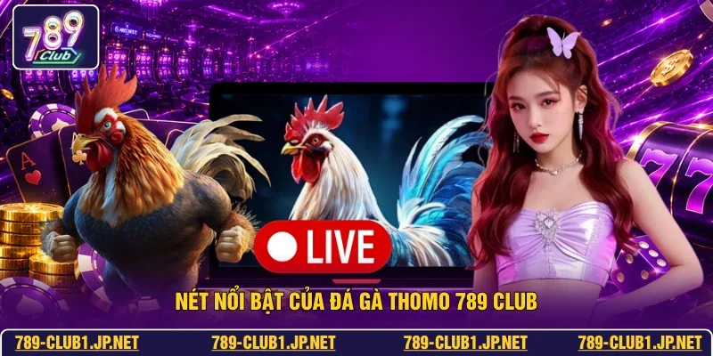 Nét nổi bật của đá gà thomo 789 club
